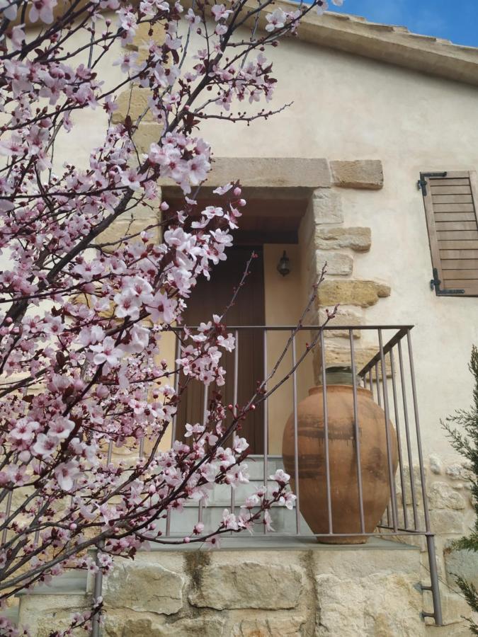 Maset Del Riu Guest House Valderrobres Exterior photo