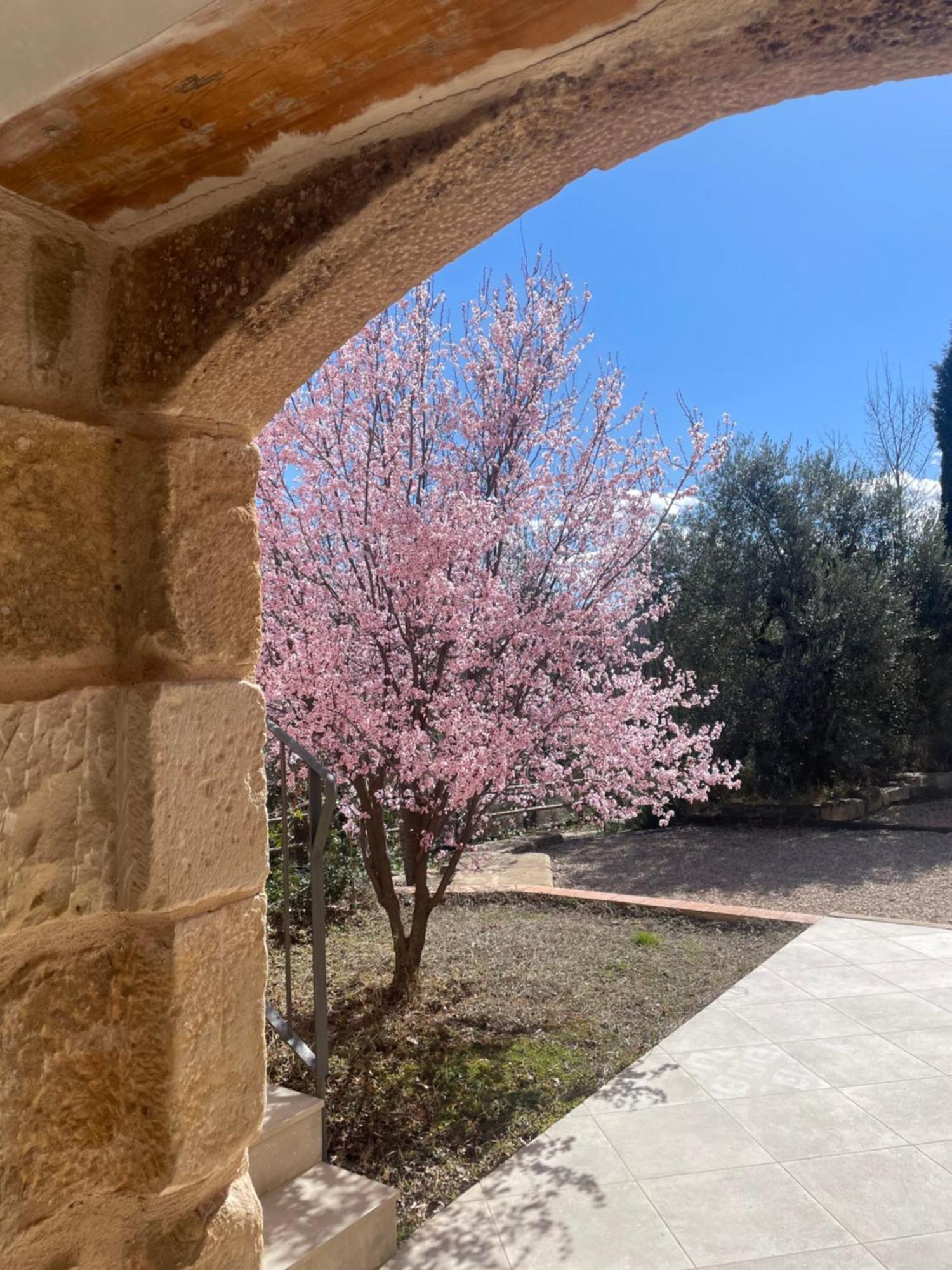 Maset Del Riu Guest House Valderrobres Exterior photo